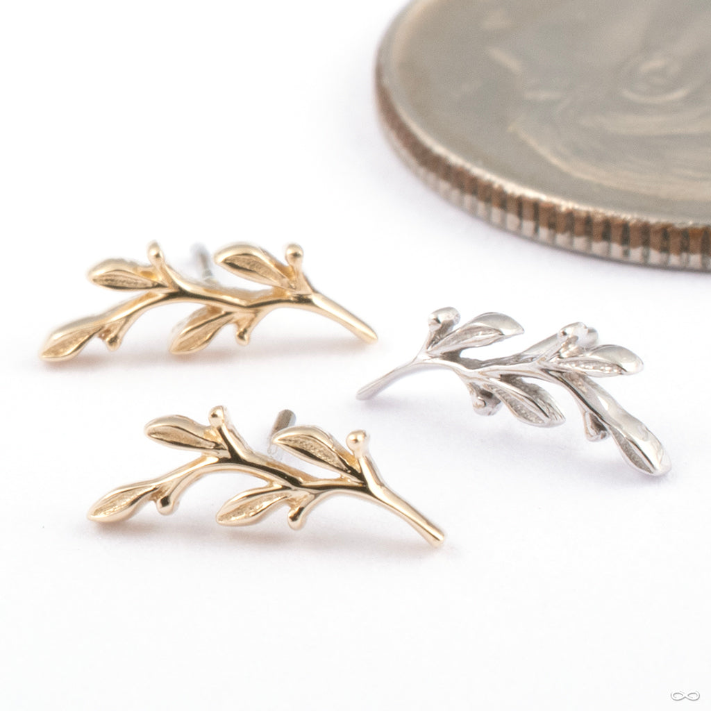 Pressfit Jewelry — Infinite Body Piercing, Inc.