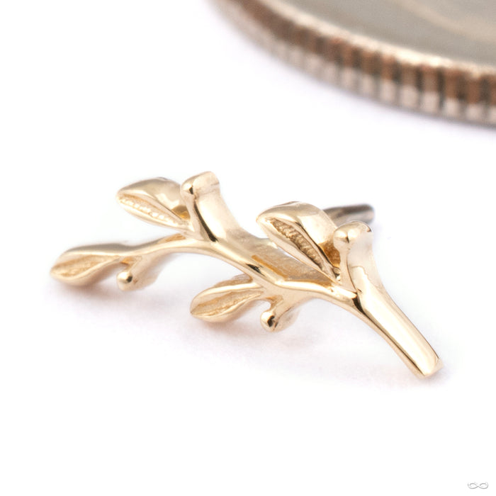 Amity Press-fit End in Gold from BVLA in 14k Yellow Gold