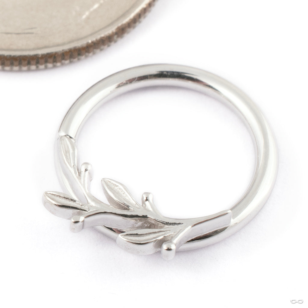 BVLA Amity　14Kイエローゴールド　16Ga 3/8\" (9.5mm) BVLA - Amity Seam Ring in Gold from BVLA - Infinite Body