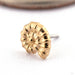 Ammonite Press-fit End in 14k Yellow Gold from Oracle