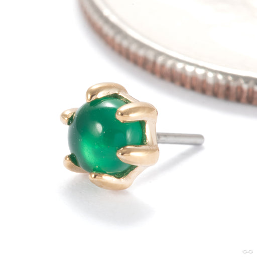 Amulet Press-fit End in 14k Yellow Gold with Green Agate from Ember Body Jewelry