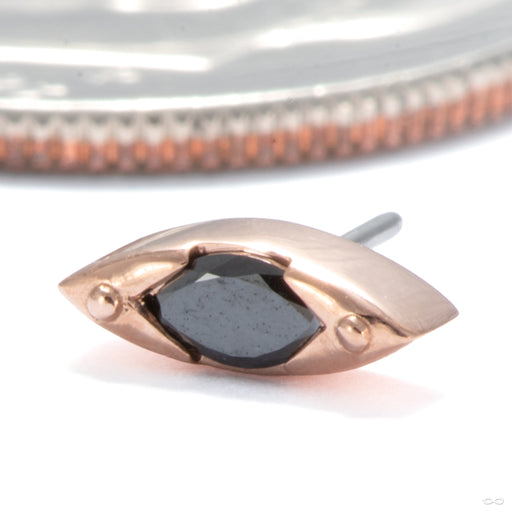 Andromeda Press-fit End in 14k Rose Gold with Black Diamond from Tether Jewelry