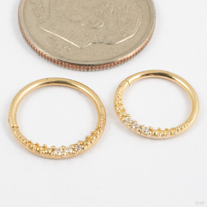 Athena Seam Ring in Gold from Tawapa in yellow gold in assorted diameters