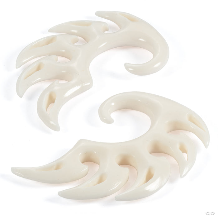 Axl from Tawapa in 6g Bone