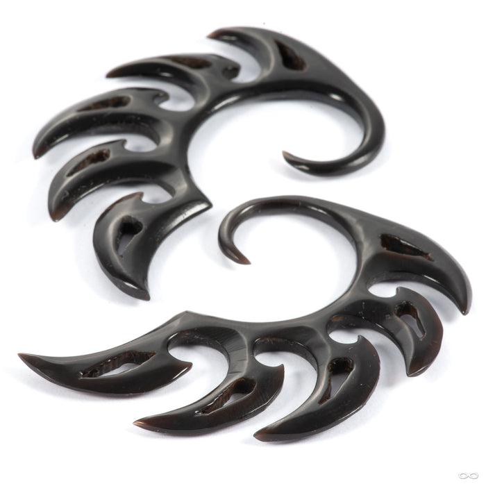 Axl from Tawapa in 10g Horn