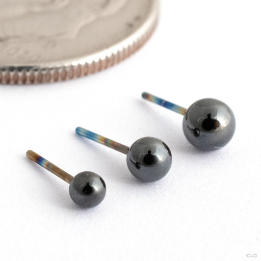 Ball Press-fit End in High Polish Black Niobium from Black Forest Jewelry in assorted sizes