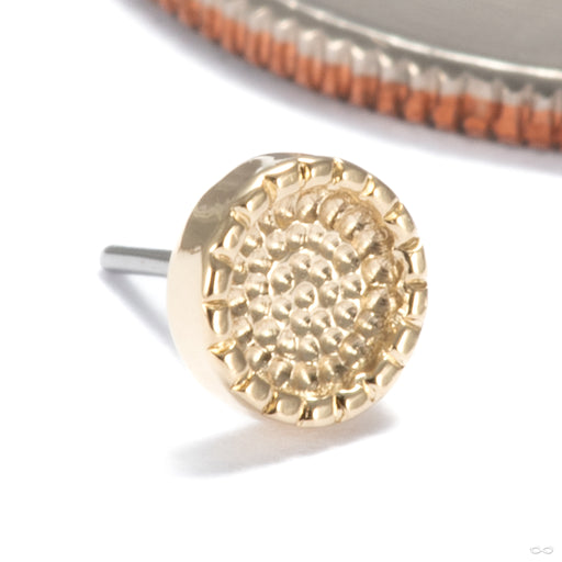 Beaded Hammered Disk Press-fit End in 14k Yellow Gold 4mm from Seasons Handmade