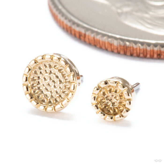 Beaded Hammered Disk Press-fit End in 14k Yellow Gold from Seasons Handmade size comparison