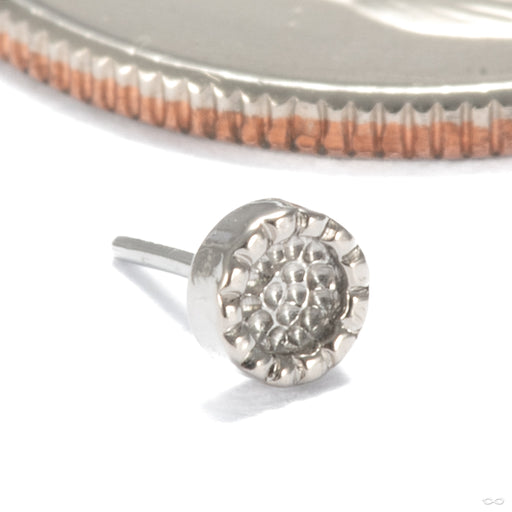 Beaded Hammered Disk Press-fit End in 14k White Gold 3mm from Seasons Handmade