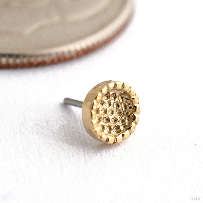 Beaded Hammered Disk Press-fit End in 14k Yellow Gold from Seasons Handmade