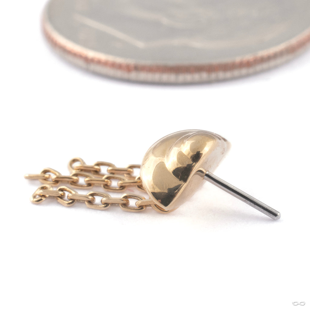 Pressfit Jewelry — Infinite Body Piercing, Inc.