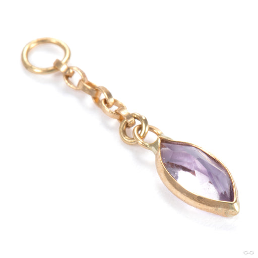 Belleza Charm in 14k Yellow Gold with Amethyst from Hialeah
