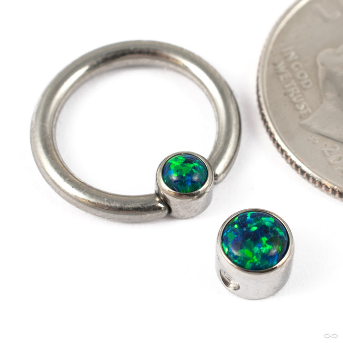 Captive Gem Bead in Titanium from Industrial Strength with Black Opal