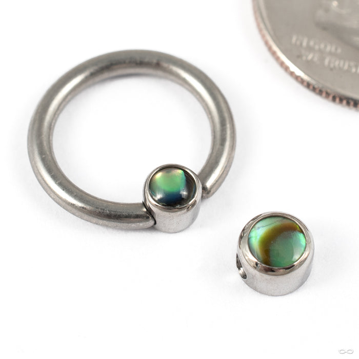 Captive Gem Bead in Titanium with Paua Shell from Industrial Strength