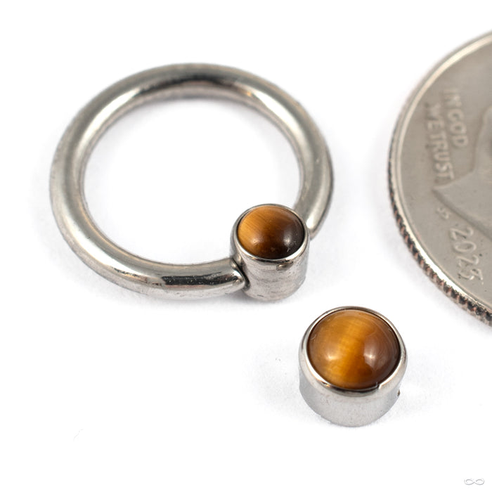 Captive Gem Bead in Titanium from Industrial Strength with Tiger Eye Cabochon