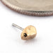 Big Gold Dust Press-fit End in Gold from Pupil Hall in 14k yellow gold