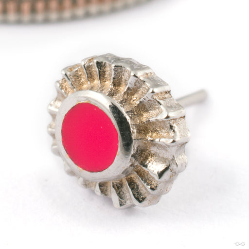 Biggest Fan Press-fit End in Gold from Pupil Hall in 14k white gold with hot pink enamel