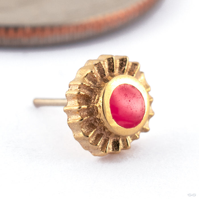 Biggest Fan Press-fit End in Gold from Pupil Hall in 14k Yellow Gold with Hot Pink Enamel