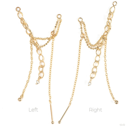 Bird's Nest Lynx Chain in Gold from Pupil Hall orientation photo