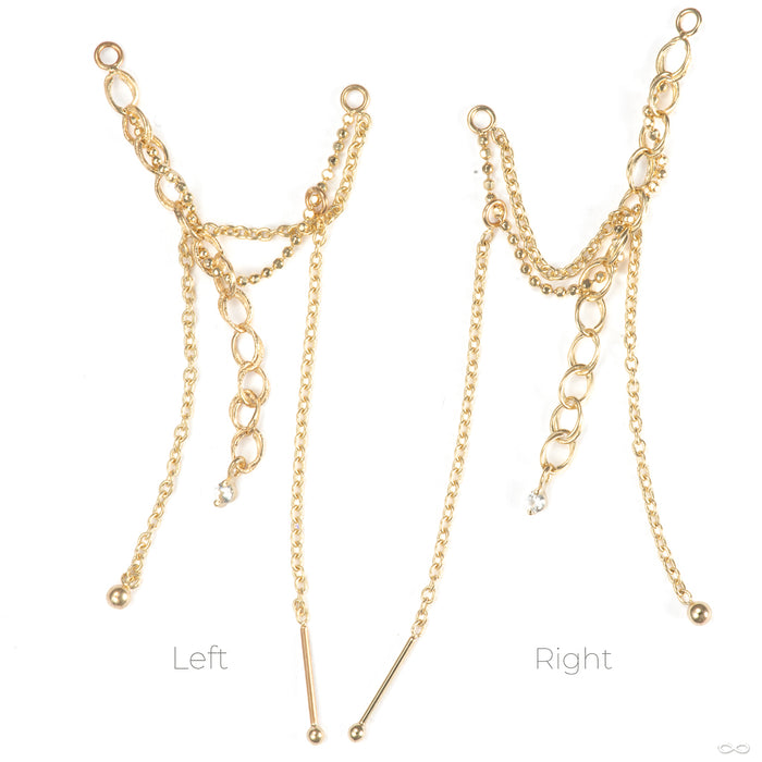 Bird's Nest Lynx Chain in Gold from Pupil Hall orientation photo