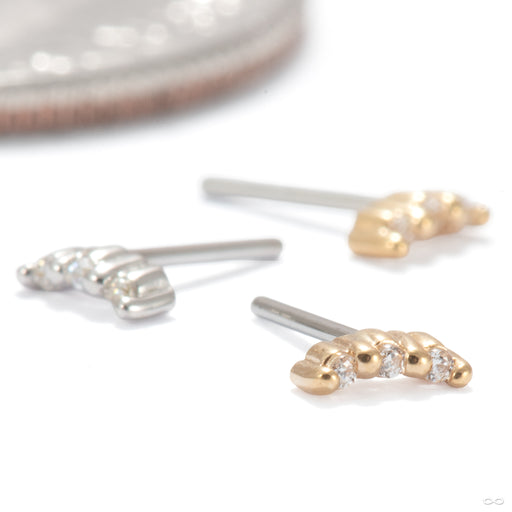 Bitsy Press-fit End in Gold from Ember Body Jewelry in assorted materials