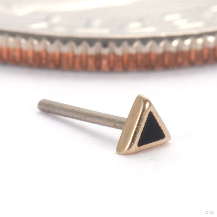 Bitty Toned Tryangle Press-fit End in 14k Yellow Gold with Black Enamel from Pupil Hall