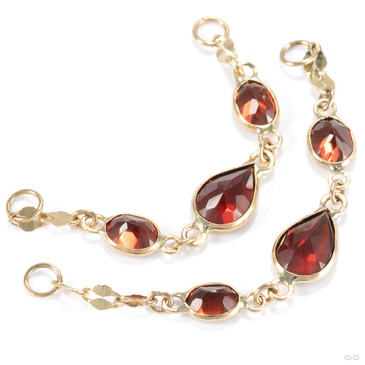 Blood Lust Chain in 14k Yellow Gold with Garnet from Hialeah group photo