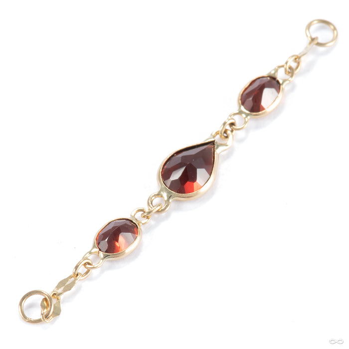 Blood Lust Chain in 14k Yellow Gold with Garnet from Hialeah