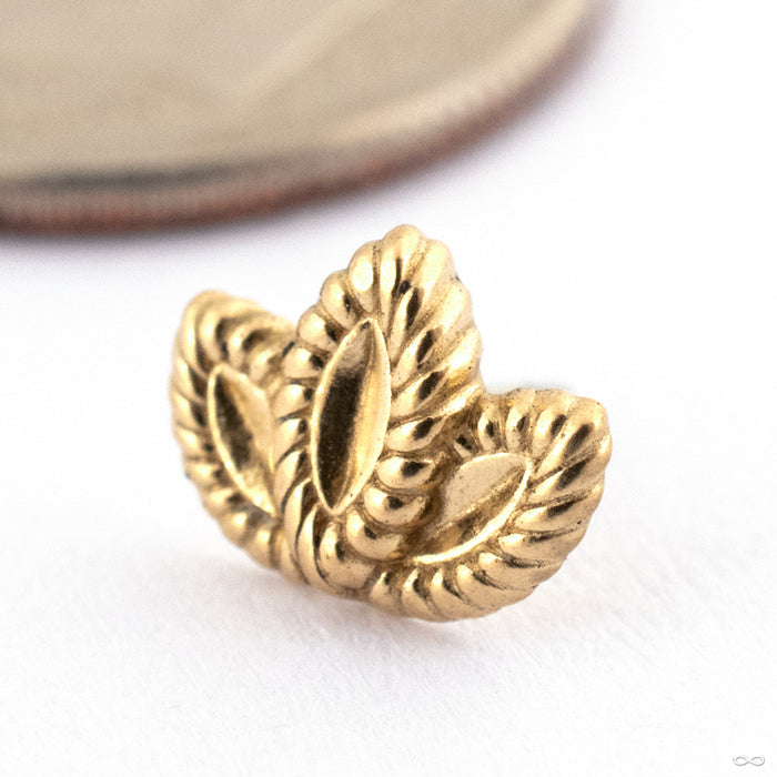 Bloom Press-fit End in 14k Yellow Gold from Oracle