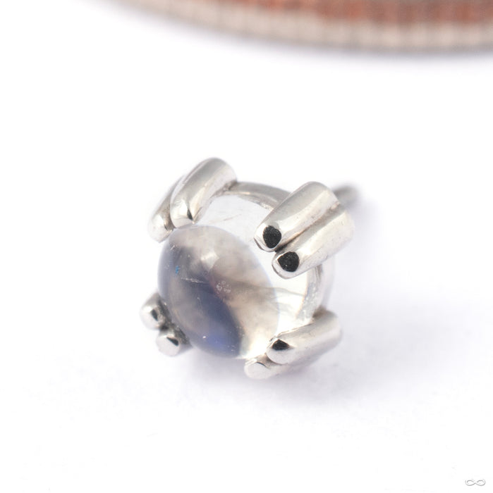 Cab Prong Press-fit End in Gold from BVLA in 14k White Gold with Rainbow Moonstone