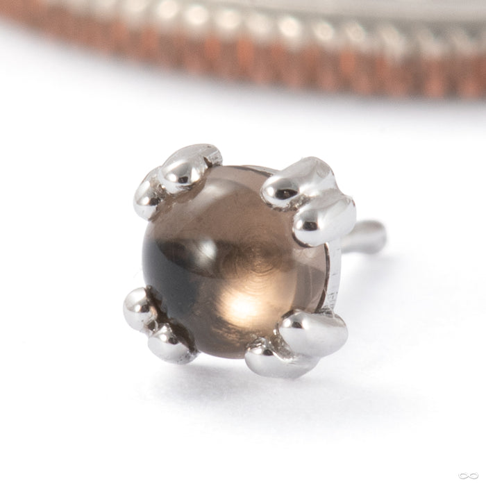 Cab Prong Press-fit End in 14k White Gold with Smoky Quartz from BVLA