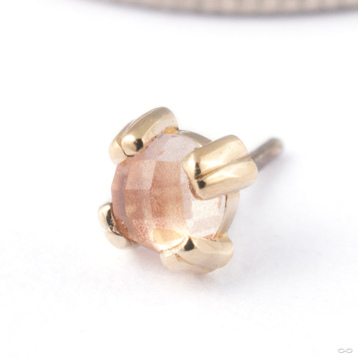 Cab Prong Press-fit End in Gold from BVLA in 14k Yellow Gold with Oregon Sunstone