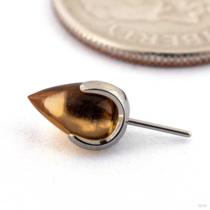 Claw-set Bullet-cut Stone Press-fit End in Titanium from People’s Jewelry in 14g/12g Citrine 4mm