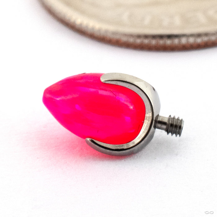 Claw-set Bullet-cut Opal Threaded End in Titanium from People’s Jewelry 14g/12g Hot Pink Opal