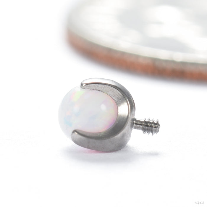 Claw-set Opal Threaded End in Titanium with White Opal 3mm from People’s Jewelry