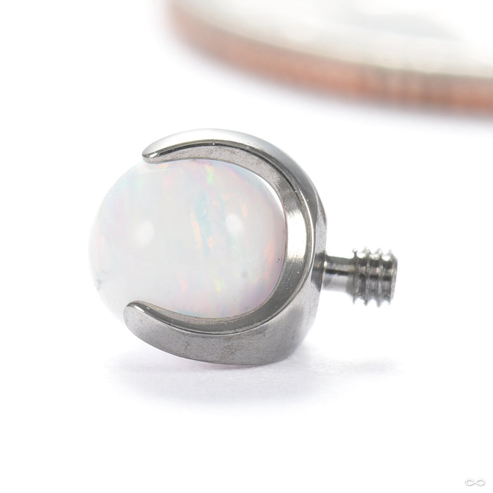 Claw-set Opal Threaded End in Titanium with White Opal 4mm from People’s Jewelry