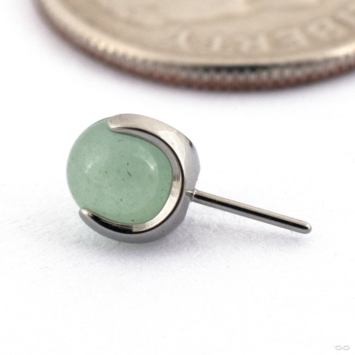 Claw-set Stone Press-fit End in Titanium from People's Jewelry in aventurine