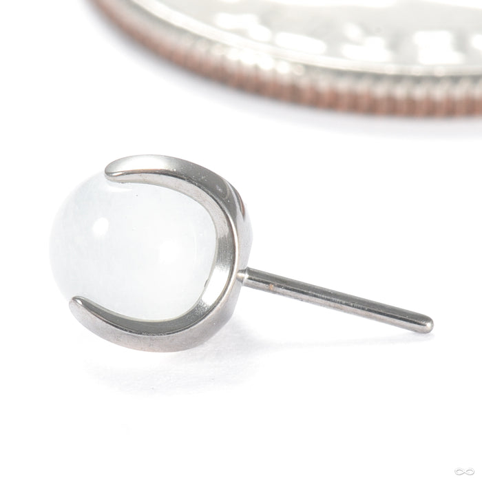 Claw-set Stone Press-fit End in Titanium from People's Jewelry in moonstone