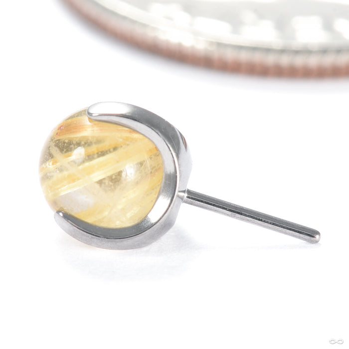 Claw-set Stone Press-fit End in Titanium from People's Jewelry in rutilated quartz