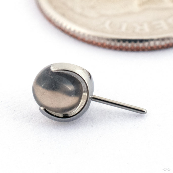 Claw-set Stone Press-fit End in Titanium from People's Jewelry in smoky quartz