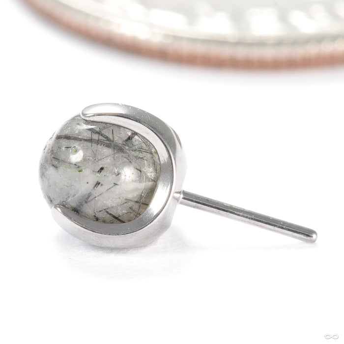 Claw-set Stone Press-fit End in Titanium from People's Jewelry in tourmalinated quartz
