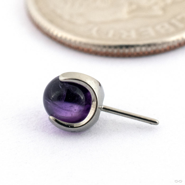 Claw-set Stone Press-fit End in Titanium from People’s Jewelry in 14g/12g Amethyst 4mm