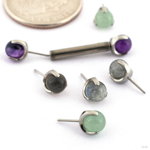 Claw-set Stone Press-fit End in Titanium from People’s Jewelry in assorted materials