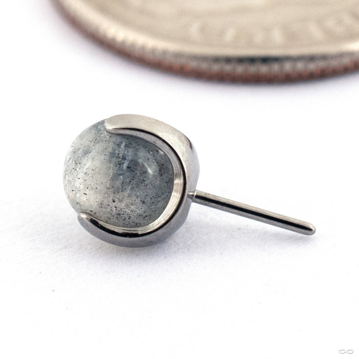 Claw-set Stone Press-fit End in Titanium from People’s Jewelry in 14g/12g Labradorite 4mm