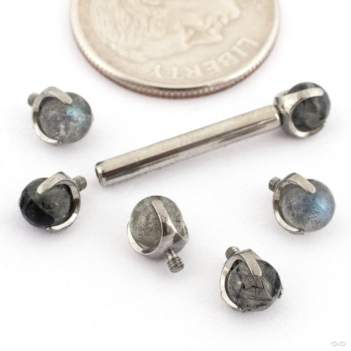 Claw-set Stone Threaded End in Titanium from People’s Jewelry with assorted stones