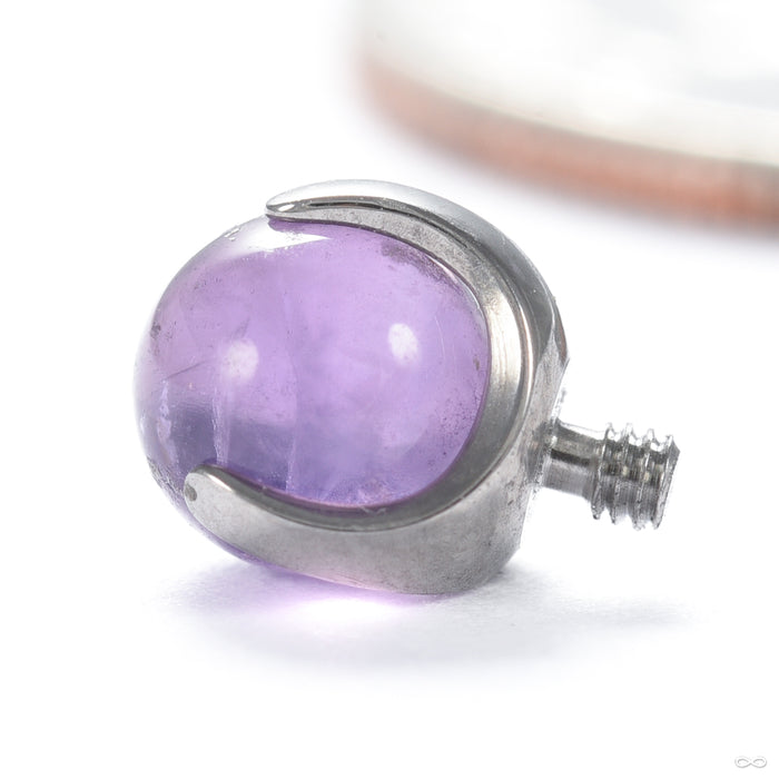 Claw-set Stone Threaded End with Amethyst in Titanium 4mm from People’s Jewelry