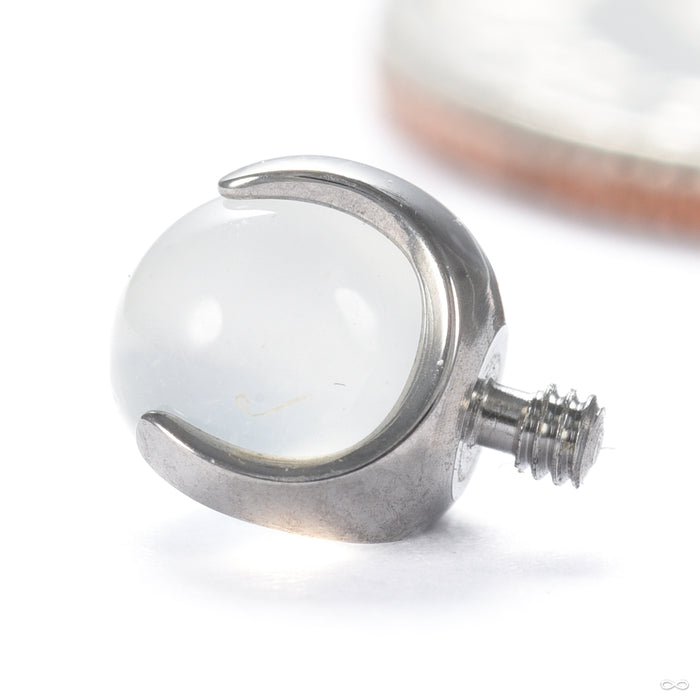 Claw-set Stone Threaded End with Moonstone in Titanium 4mm from People’s Jewelry