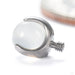 Claw-set Stone Threaded End with Moonstone in Titanium 4mm from People’s Jewelry