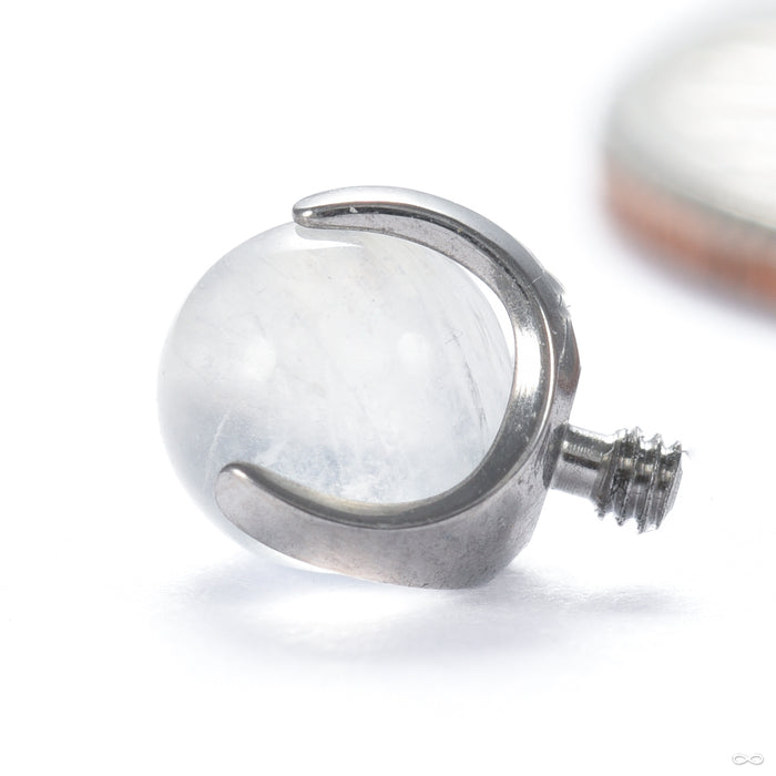 Claw-set Stone Threaded End with Rainbow Moonstone in Titanium 4mm from People’s Jewelry