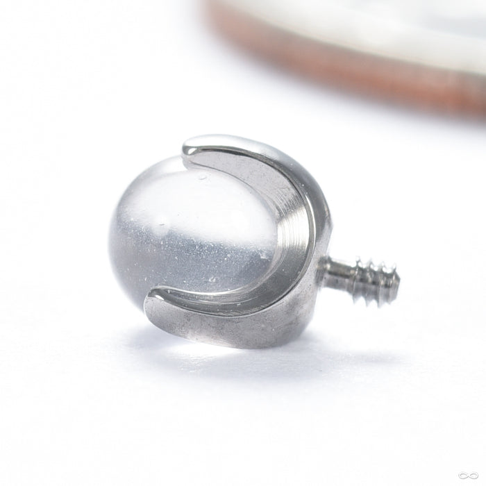 Claw-set Stone Threaded End with Rose Quartz in Titanium 3mm from People’s Jewelry